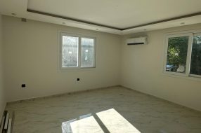 companyProduct