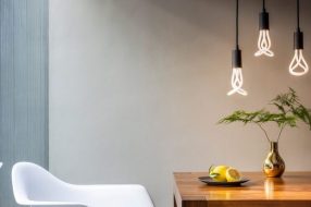companyProduct