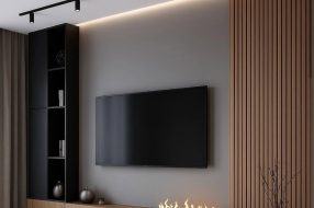 companyProduct