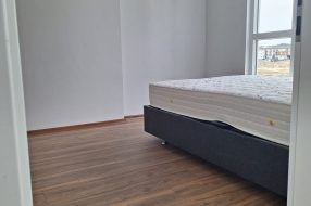 companyProduct