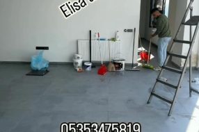 companyProduct