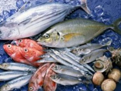 Elmas Balıkçılık Restaurant