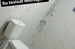 companyProduct