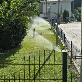 galeri