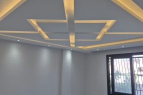 companyProduct