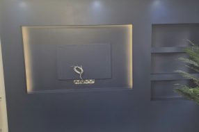 companyProduct