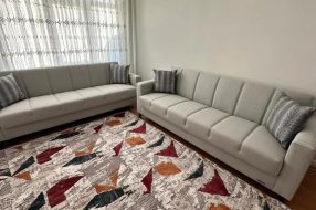 companyProduct