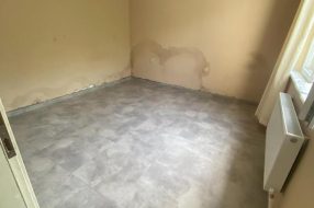 companyProduct