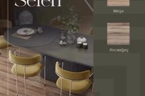 companyProduct