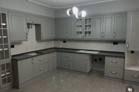 companyProduct