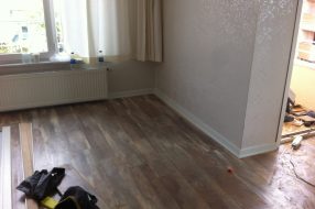 companyProduct