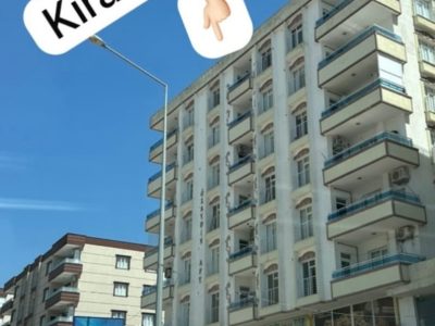 Erol İnşaat Auto Emlak