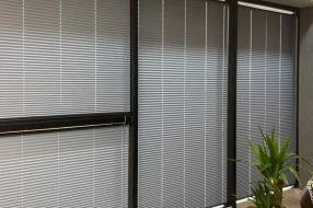 companyProduct