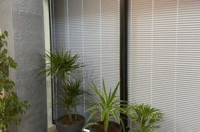 companyProduct