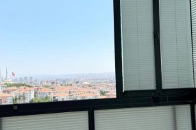 companyProduct