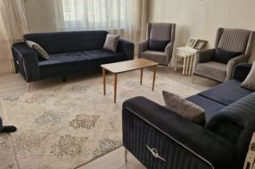 companyProduct
