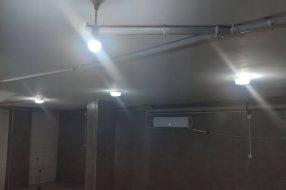 companyProduct
