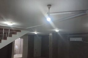 companyProduct
