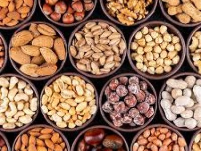 Falcon Fıstıkçılık