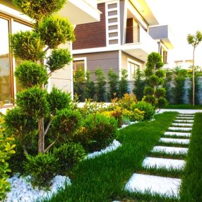 galeri