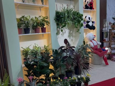 Gold Rose Çiçekçilik