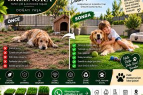 companyProduct