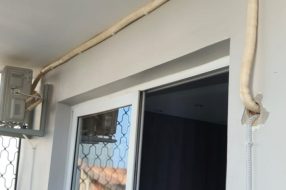 companyProduct
