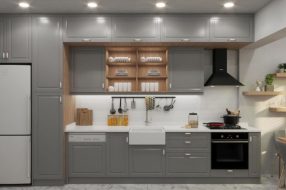 companyProduct