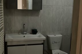 companyProduct