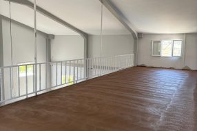 companyProduct