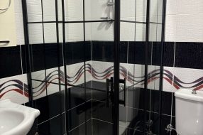 companyProduct