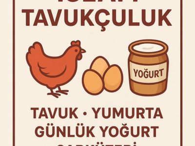 İslam Tavukçuluk Şarküteri
