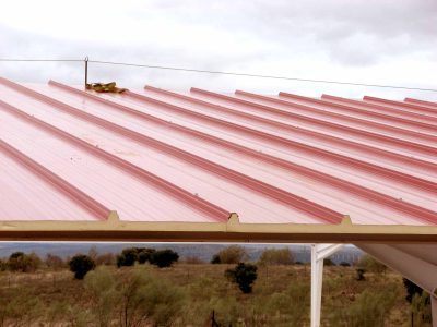 Kale Panel