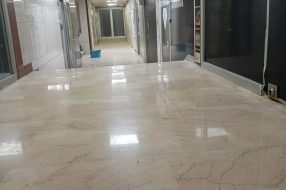 companyProduct