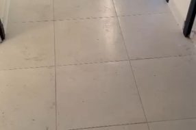 companyProduct