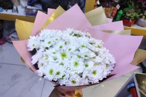 companyProduct
