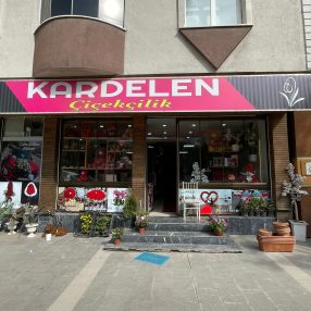 galeri