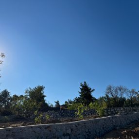 galeri
