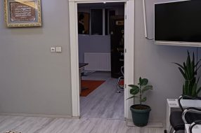 companyProduct
