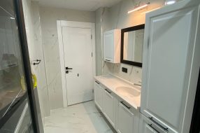 companyProduct
