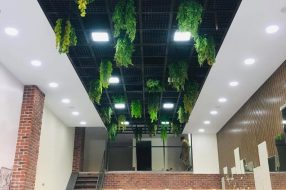 companyProduct