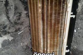 companyProduct