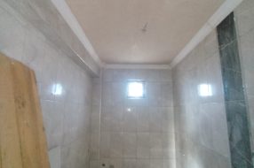 companyProduct
