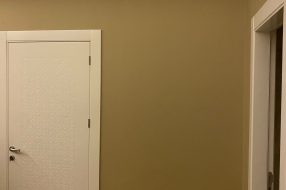 companyProduct
