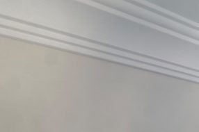 companyProduct