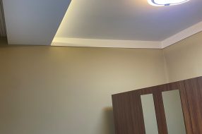 companyProduct