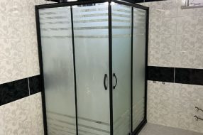 companyProduct