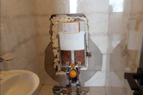companyProduct