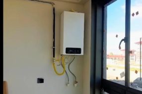 companyProduct