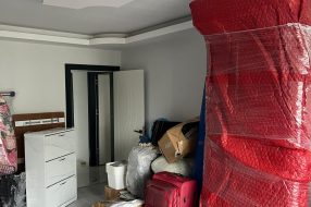 companyProduct